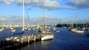 Coconut Grove Yacht Club, FL