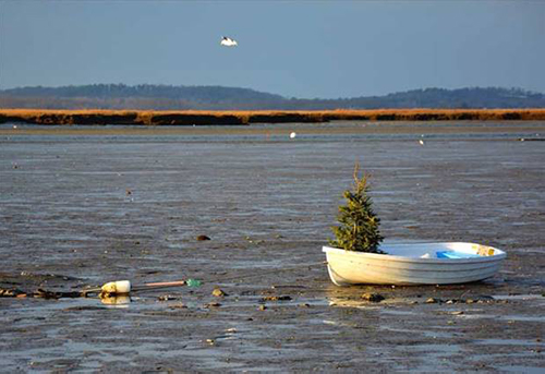 christmas tree in small boat at low tide